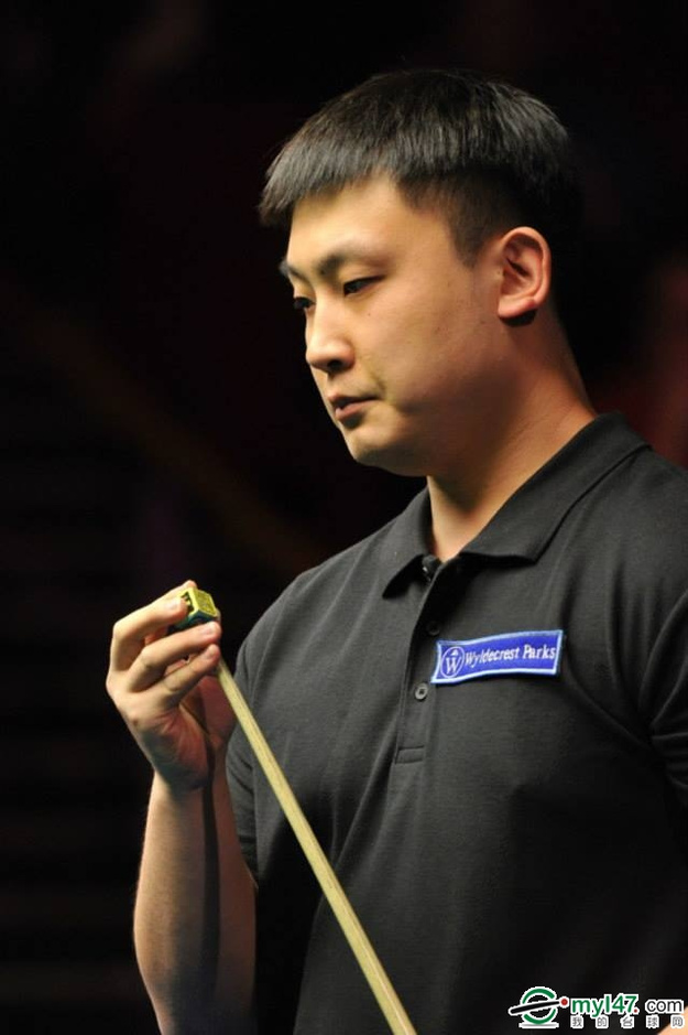 层培养投入 层培养投入