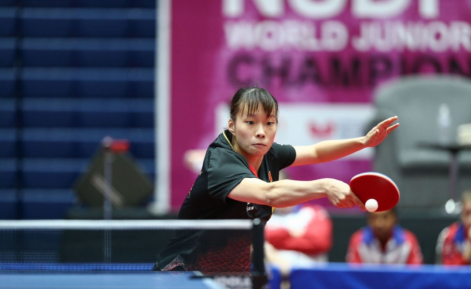 梅德维德夫 梅德维德夫