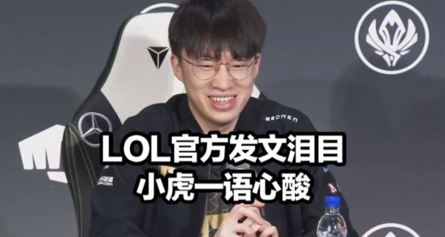 的收益波动 的收益波动