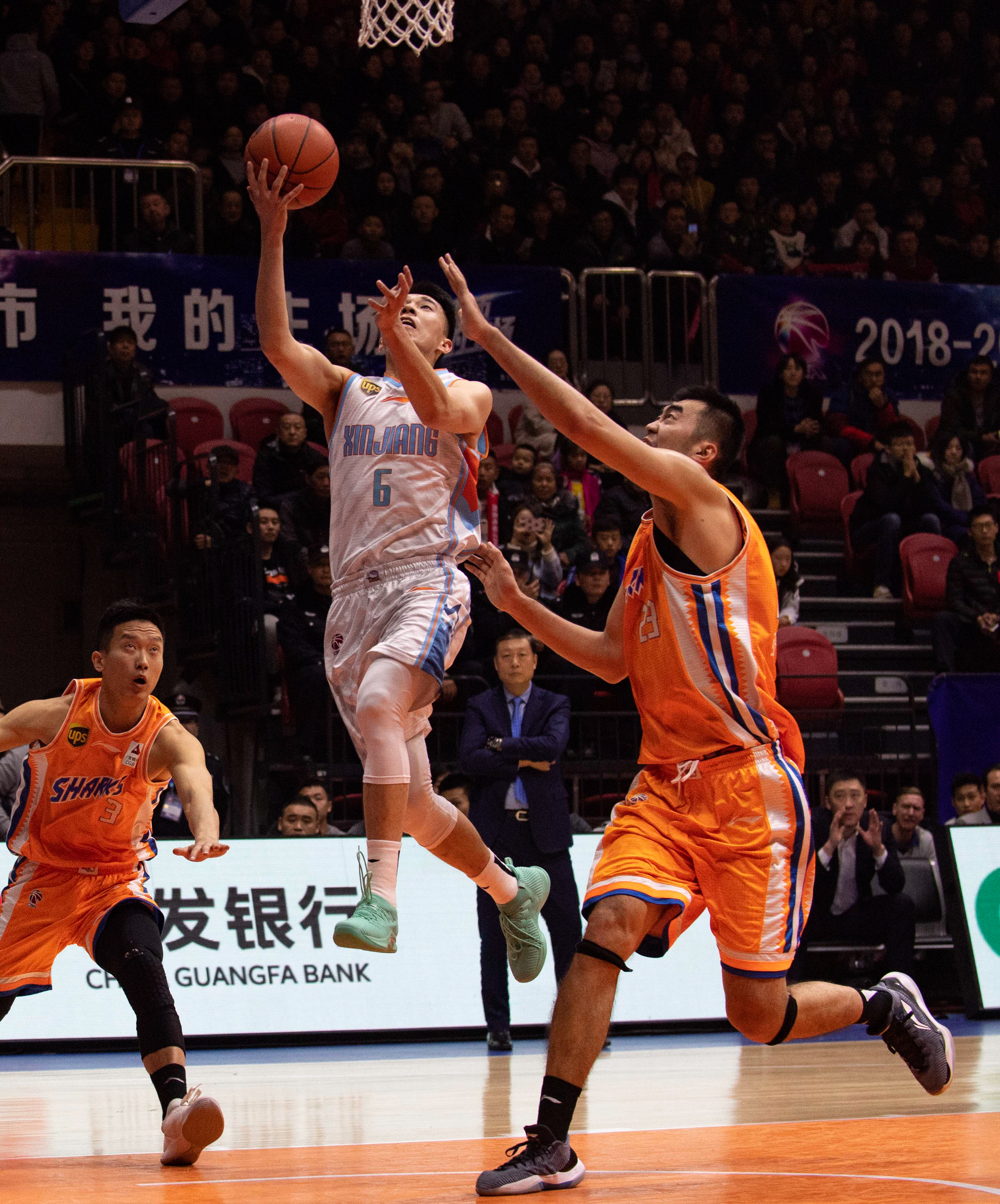 根的屏掩质 根的屏掩质