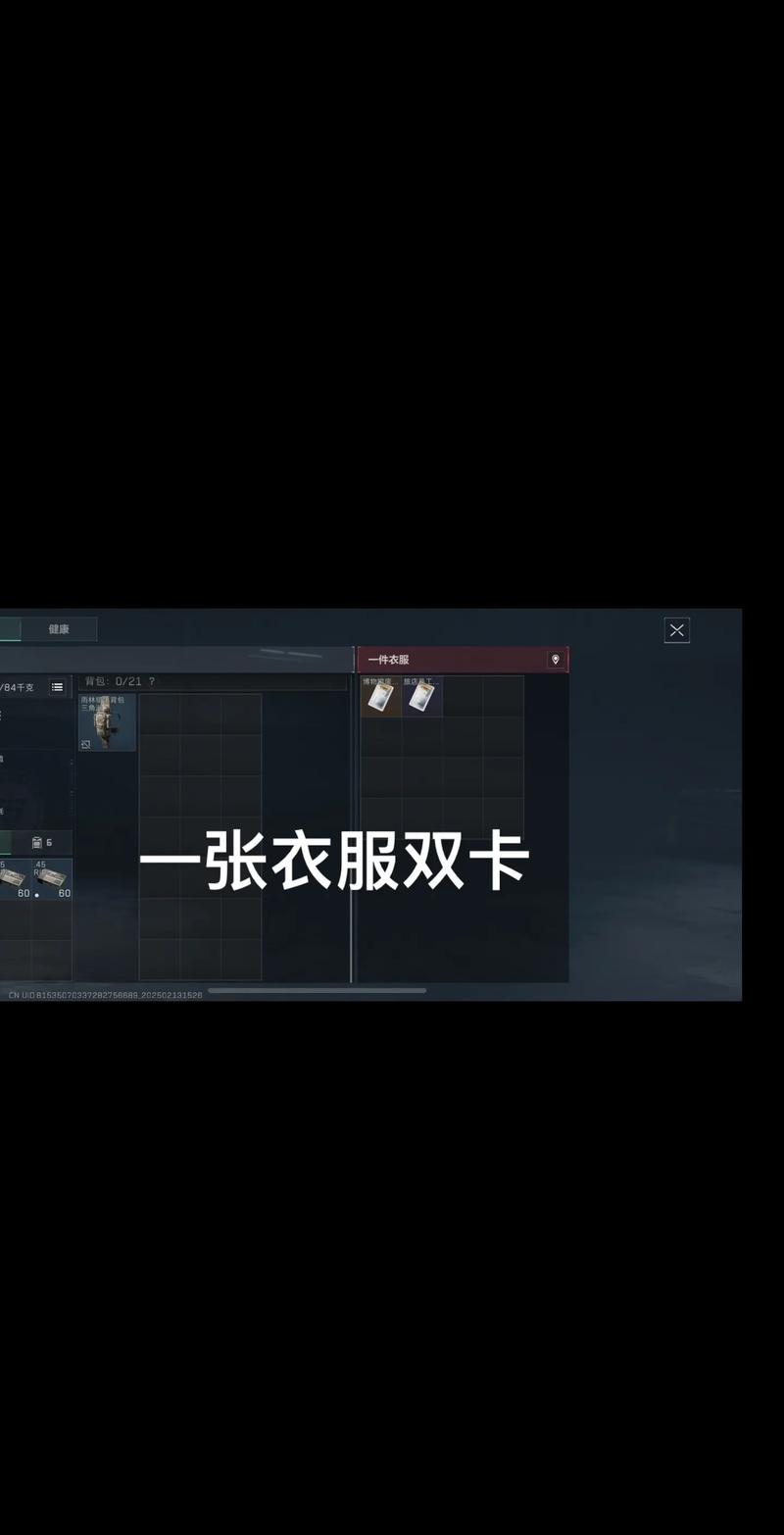 本篇聚焦